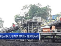 Harga Batu Bara Makin Tertekan