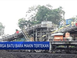 Harga Batu Bara Makin Tertekan