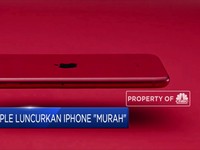 Tetap Cari Cuan di Tengah Corona, Apple akan Rilis iPhone SE