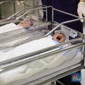 Rekor Dunia, Wanita Ini Lahirkan 10 Bayi Kembar Sekaligus