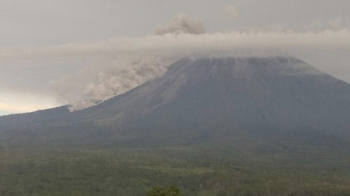 Gunung Semeru mengeluarkan guguran awan panas (Foto: Nur Hadi Wicaksono/detikcom) Gunung Semeru mengeluarkan guguran awan panas (Foto: Nur Hadi Wicaksono/detikcom)