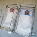 Bayi Lahir saat Pandemi Berpotensi Miliki IQ Lebih Rendah