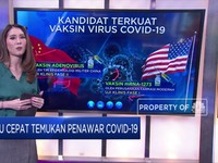 Adu Cepat Temukan Penawar Covid-19