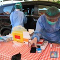 Plasma Darah Pasien Sembuh Corona Bisa Jadi Obat?