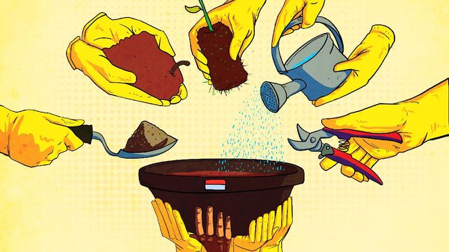 China Juaranya Investasi Inovasi, Indonesia Nomor Berapa?