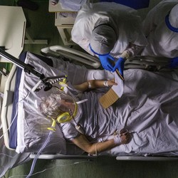 Berapa Lama Antibodi Kebal Lawan Virus Covid-19?