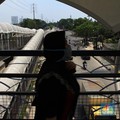 Jakarta Masih Ngeri, Ada Tambahan 1.045 Kasus Harian Covid-19