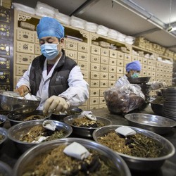Ini Wujud Obat Herbal China yang Bisa Sembuhkan Covid-19
