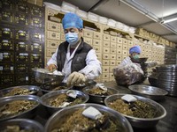 Ini Wujud Obat Herbal China yang Bisa Sembuhkan Covid-19