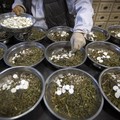 Obati Covid-19, China Terinspirasi Buku Medis Berusia 18 Abad