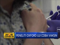 Peneliti Oxford Uji Coba Vaksin Corona ke Manusia