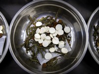 Dari Hong Kong, Obat Anti Mikroba Bisa Lawan Corona
