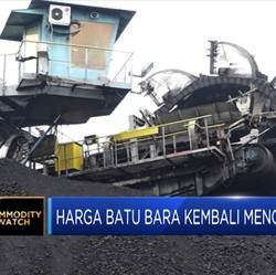 Harga Batu Bara Kembali Menguat