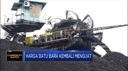 Harga Batu Bara Kembali Menguat