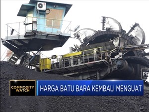 Harga Batu Bara Kembali Menguat