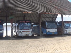 Bus Tiba di Makassar Wajib Masuk Terminal Daya, Diawasi Mulai Dini Hari