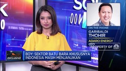 Boy Thohir: Efisiensi Kunci Adaro Hadapi Tekanan Harga