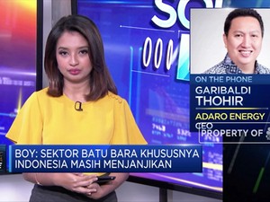 Boy Thohir: Efisiensi Kunci Adaro Hadapi Tekanan Harga