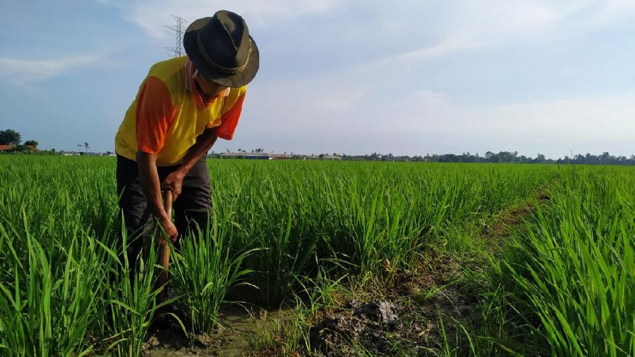 Dok: Pertamina