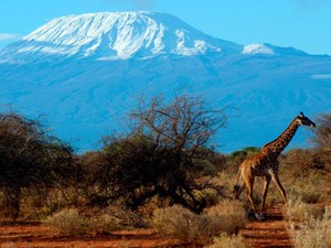 Menjelajah buat Amal Malah Ditipu di Gunung Kilimanjaro