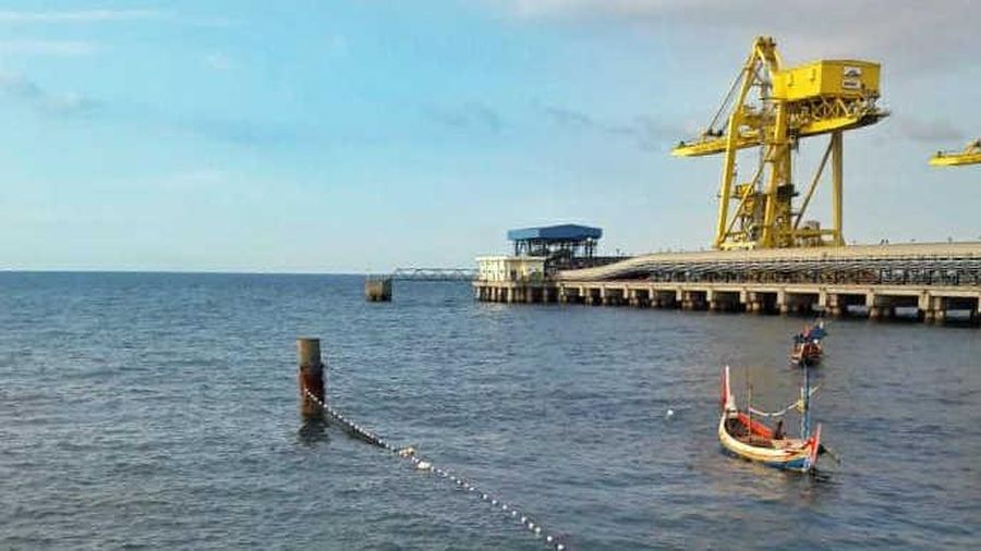 PLTU Paiton Diserbu Ubur-Ubur, PLN Ambil Langkah Strategis Amankan Pasokan Listrik. Dok PLN