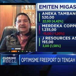 Freeport Yakin Permintaan Tembaga Tetap Tinggi Saat Pandemi
