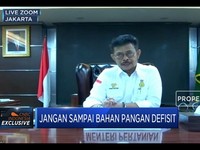 Syahrul Yasin Pastikan Stok Pangan Impor Aman Jelang Lebaran