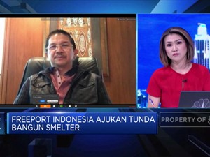 Melebihi Target, Revenue Freeport  Q1-2020 Capai USD 440 Juta