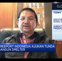 Terdampak Corona, Bagaimana Nasib Bisnis Freeport?