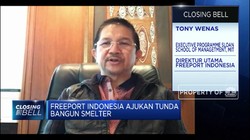Tony Wenas: Efek Corona, Freeport Ajukan Tunda Bangun Smelter