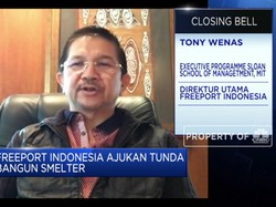 Tony Wenas: Efek Corona, Freeport Ajukan Tunda Bangun Smelter