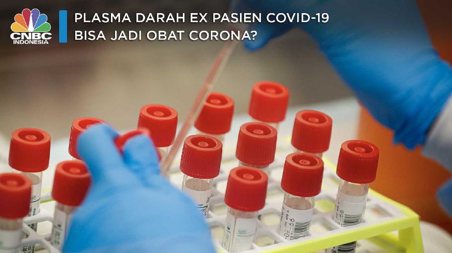 Plasma Darah Ex Pasien Covid-19 Bisa jadi Obat Corona?