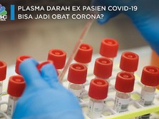 Plasma Darah Eks Pasien Covid-19 Bisa Jadi Obat Corona?