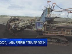 Q1-2020, Laba Bersih PTBA Capai Rp 903 M