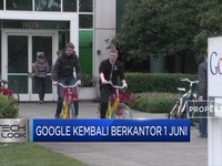 Google akan Kembali Masuk Kantor pada 1 Juni 2020