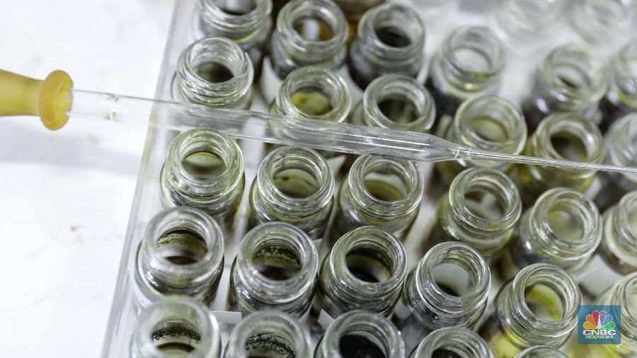 Peneliti melakukan pemisahan hasil ekstraksi tanaman herbal di di Lab Cara Pembuatan Obat Tradisonal Baik (CPOTB) Pusat Penelitian Kimia LIPI, Puspitek, Tangerang Selatan,Rabu (6/5/2020). Saat ini laboratorium Cara Pembuatan Obat Tradisonal Baik (CPOTB) sedang menguji beberapa tanaman herbal yaitu ekstrak Cassia Alata (daun ketepeng badak) dan Dendrophtoe Sp (daun benalu) untuk dijadikan obat penyembuhan sekaligus penghambatan covid-19. (CNBC Indonesia/ Andrean Kristianto)