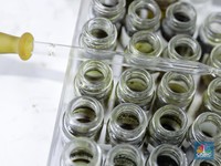 Duh! Ada 10 Ribu Virus Bisa Timbulkan Pandemi Seperti Covid