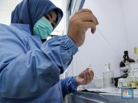 Corona di RI: Tingkat Kematian Turun, Tingkat Kesembuhan Naik