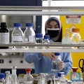 Stop Beli Dexamethasone & Hydroxychloroquine di Toko Online