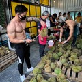 'Neraka Bolong' Makan Korban Baru, Durian Thailand Terancam Kiamat