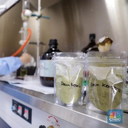 Studi Terbaru: Obat Darah Tinggi Redam Sakitnya Covid-19