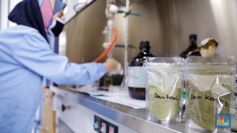 Uji Lab Kandidat Obat Herbal untuk Covid-19 (CNBC Indonesia/Andrean Kristianto)