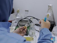 Butuh Dana Rp 2,1 T untuk Kembangkan Obat Covid-19