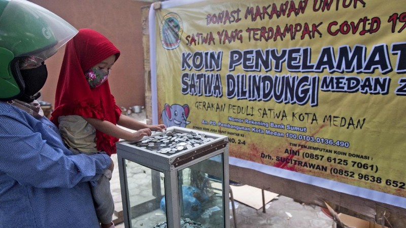 In this Thursday, Monday, May 4, 2020, photo, zoo keeper Ahmad Zuliansyah feeds a tiger with a piece of donated chicken during a feeding time at Medan Zoo, in Medan, North Sumatra, Indonesia. The zoo management is scrambling to find donations of money and food to keep hundreds of animals fed at the zoo that normally relied on ticket sales to run after it was closed to visitors last month due to the new coronavirus outbreak. (AP Photo/Binsar Bakkara)