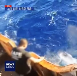 4 Tewas, Pemerintah Pulangkan 14 WNI Jadi ABK di Kapal China