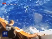4 Tewas, Pemerintah Pulangkan 14 WNI Jadi ABK di Kapal China