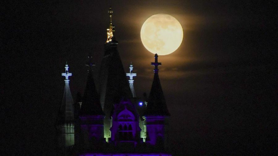 The supermoon rises behind Tower Bridge, in London, Thursday, May 7, 2020. The supermoon is a phenomenon that happens when the moon is at its closest point to the earth and looks larger than usual. (AP Photo/Alberto Pezzali)