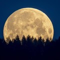 Benarkah Roket SpaceX Elon Musk Hampir Tabrak Bulan?