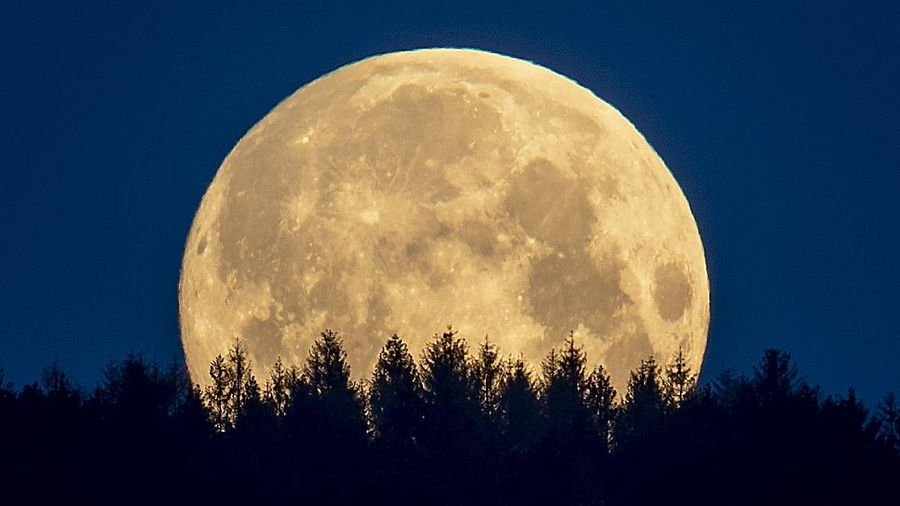 Super Flower Moon