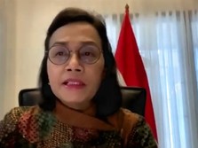 Syarat Sri Mulyani Agar PNS-nya Bisa Kerja dari Mana Saja